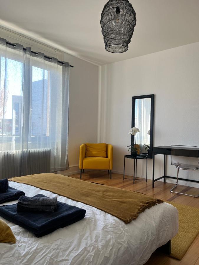 Appartement De Prestige Au Centre Climatise Avec Jardin Prive Colmar Exterior foto